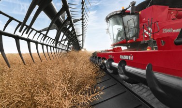 Зерновые жатки Case IH 3152 (Rigid Draper)